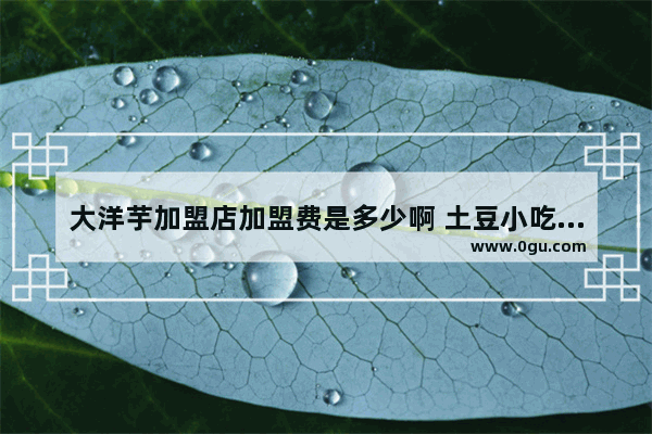 大洋芋加盟店加盟费是多少啊 土豆小吃加盟排行榜最火