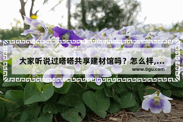 大家听说过嗒嗒共享建材馆吗？怎么样,中国连锁建材加盟店排行榜