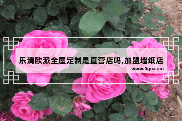 乐清欧派全屋定制是直营店吗,加盟墙纸店
