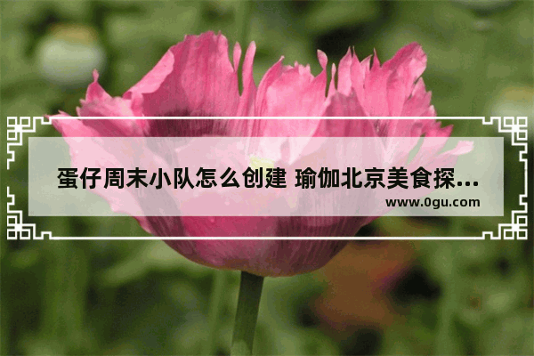 蛋仔周末小队怎么创建 瑜伽北京美食探店加盟