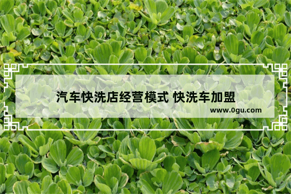 汽车快洗店经营模式 快洗车加盟