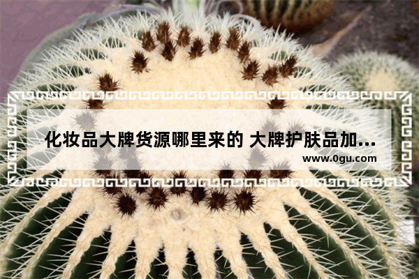 化妆品大牌货源哪里来的 大牌护肤品加盟店推荐哪家