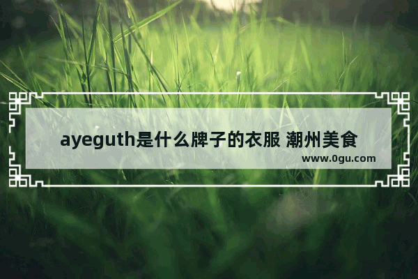 ayeguth是什么牌子的衣服 潮州美食外卖甜品店加盟