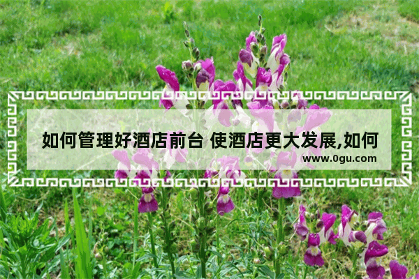 如何管理好酒店前台 使酒店更大发展,如何加盟酒店前台
