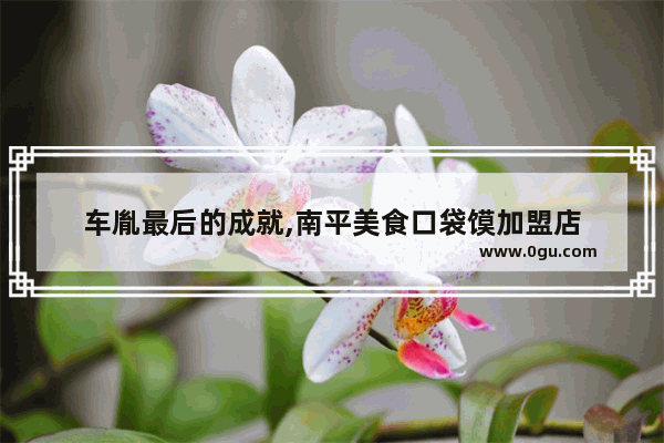 车胤最后的成就,南平美食口袋馍加盟店