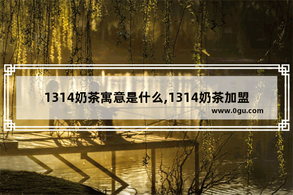 1314奶茶寓意是什么,1314奶茶加盟权转让