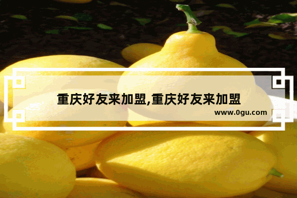 重庆好友来加盟,重庆好友来加盟