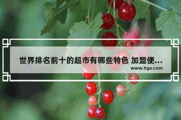世界排名前十的超市有哪些特色 加盟便利店排行榜前十