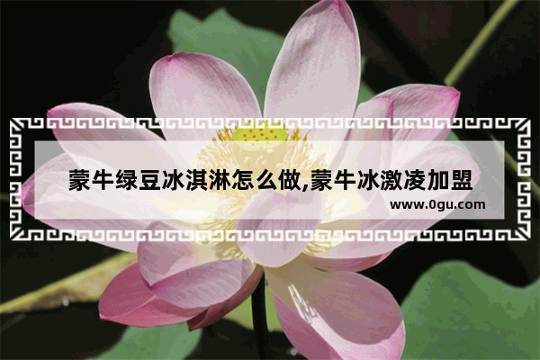 蒙牛绿豆冰淇淋怎么做,蒙牛冰激凌加盟