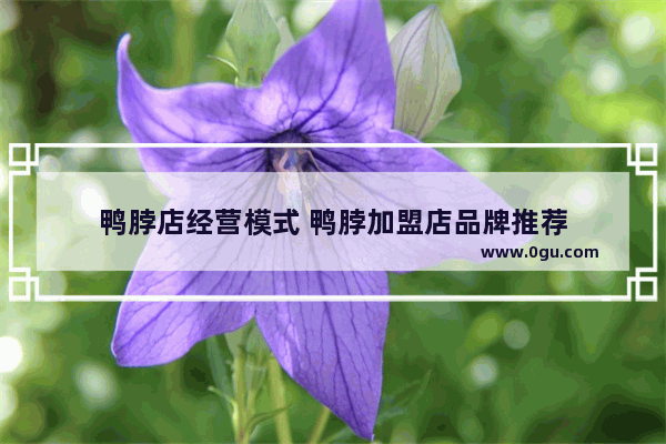 鸭脖店经营模式 鸭脖加盟店品牌推荐