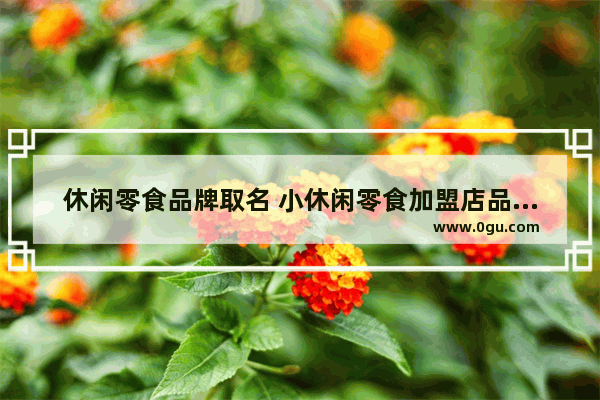 休闲零食品牌取名 小休闲零食加盟店品牌推荐