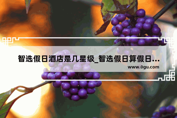 智选假日酒店是几星级_智选假日算假日集团的么