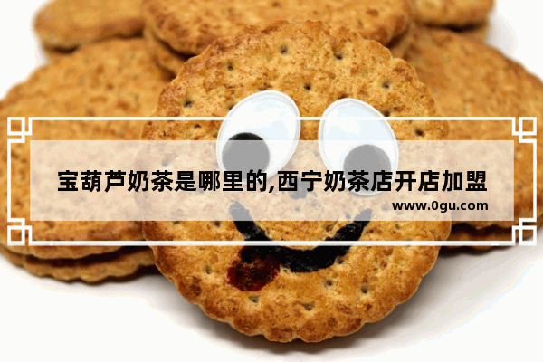 宝葫芦奶茶是哪里的,西宁奶茶店开店加盟