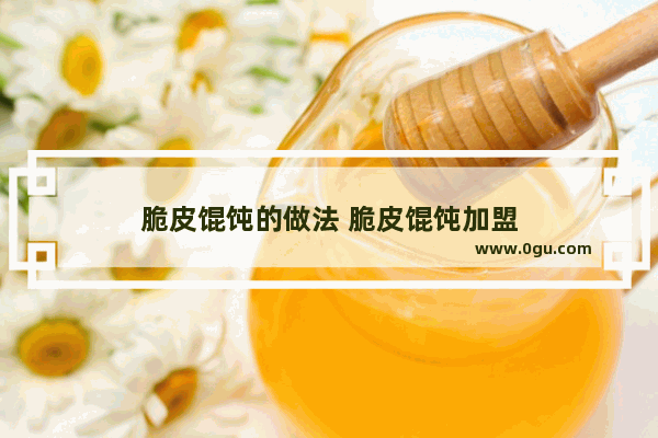 脆皮馄饨的做法 脆皮馄饨加盟