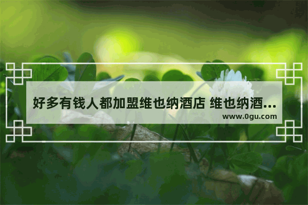 好多有钱人都加盟维也纳酒店 维也纳酒店真的投资回报率那么高吗_听朋友介绍 说加盟深圳的维也纳酒店不错 真的很好吗?求建议~