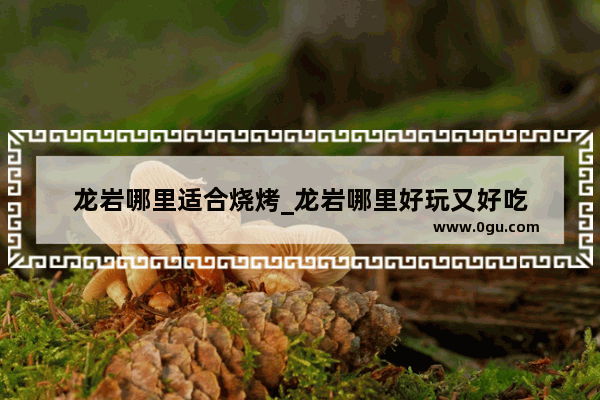 龙岩哪里适合烧烤_龙岩哪里好玩又好吃
