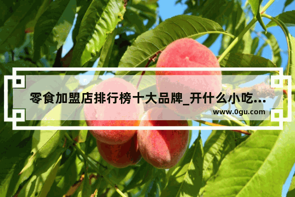 零食加盟店排行榜十大品牌_开什么小吃店最赚钱 我想开个特色的小吃加盟店