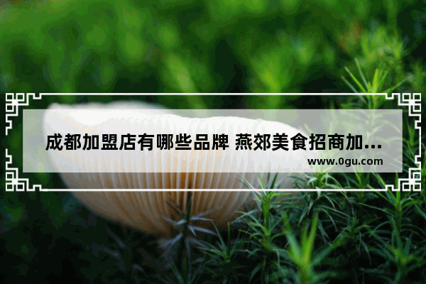 成都加盟店有哪些品牌 燕郊美食招商加盟店