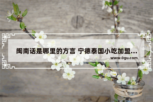 闽南话是哪里的方言 宁德泰国小吃加盟费多少钱