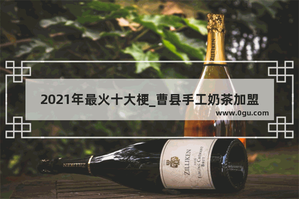 2021年最火十大梗_曹县手工奶茶加盟