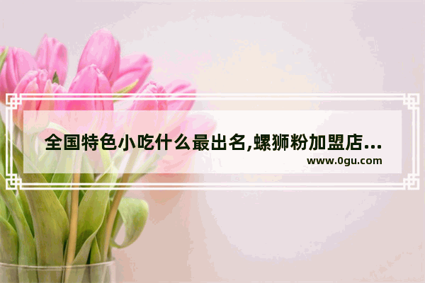 全国特色小吃什么最出名,螺狮粉加盟店推荐阜阳店