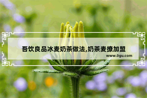 吾饮良品冰麦奶茶做法,奶茶麦撩加盟