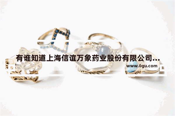 有谁知道上海信谊万象药业股份有限公司的概况,豪华胶囊酒店加盟