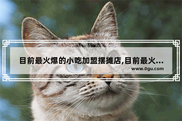 目前最火爆的小吃加盟摆摊店,目前最火爆的小吃加盟摆摊店