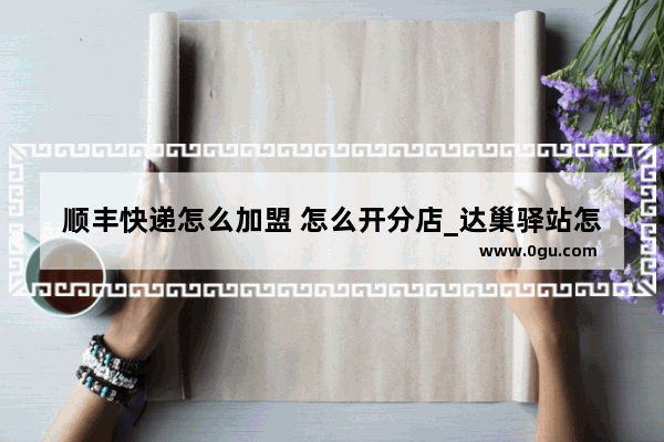 顺丰快递怎么加盟 怎么开分店_达巢驿站怎么样