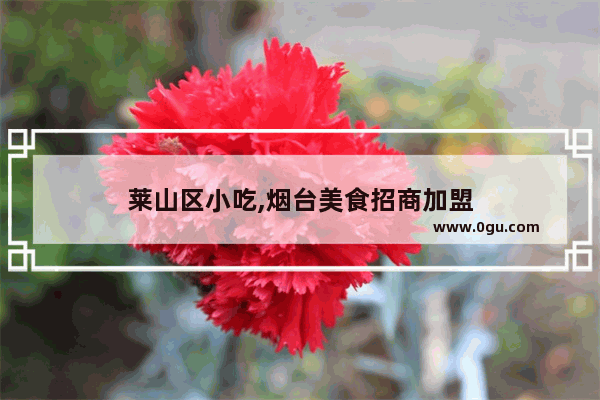 莱山区小吃,烟台美食招商加盟