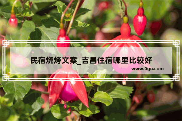 民宿烧烤文案_吉昌住宿哪里比较好