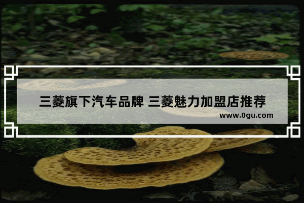 三菱旗下汽车品牌 三菱魅力加盟店推荐