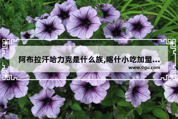 阿布拉汗哈力克是什么族,喀什小吃加盟品牌