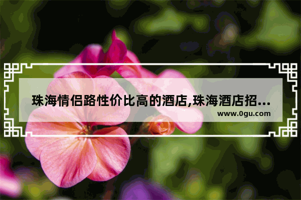 珠海情侣路性价比高的酒店,珠海酒店招商加盟