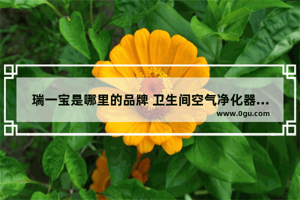 瑞一宝是哪里的品牌 卫生间空气净化器加盟品牌