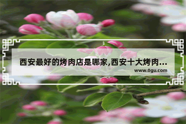 西安最好的烤肉店是哪家,西安十大烤肉加盟店排行榜