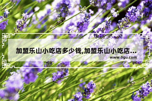 加盟乐山小吃店多少钱,加盟乐山小吃店多少钱