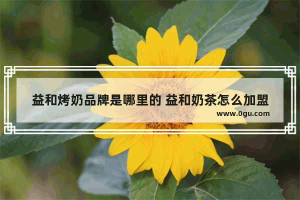 益和烤奶品牌是哪里的 益和奶茶怎么加盟