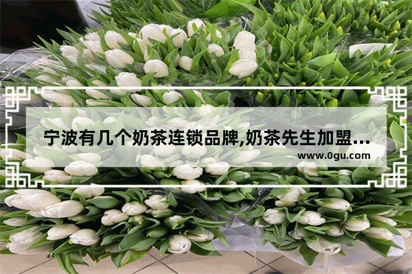 宁波有几个奶茶连锁品牌,奶茶先生加盟店要多