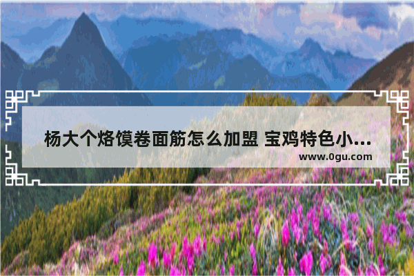 杨大个烙馍卷面筋怎么加盟 宝鸡特色小吃加盟店排行榜
