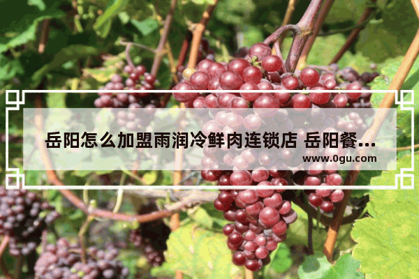 岳阳怎么加盟雨润冷鲜肉连锁店 岳阳餐饮加盟店推荐哪家好
