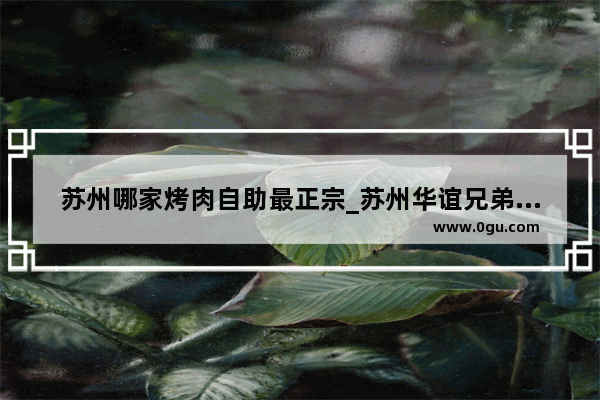 苏州哪家烤肉自助最正宗_苏州华谊兄弟吃饭攻略