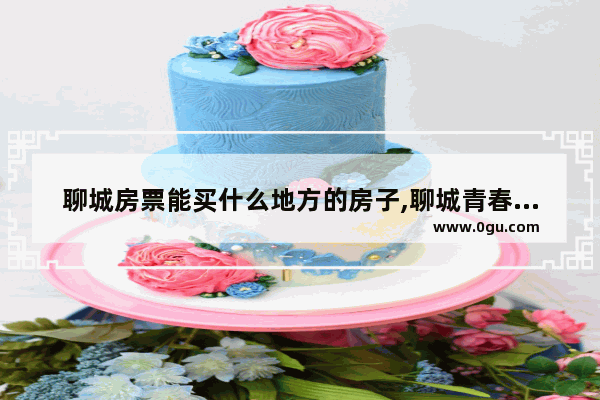 聊城房票能买什么地方的房子,聊城青春别墅加盟