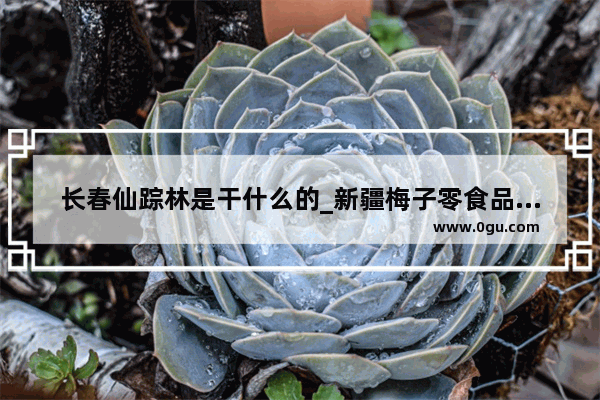 长春仙踪林是干什么的_新疆梅子零食品牌加盟