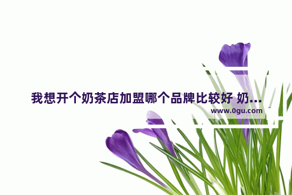 我想开个奶茶店加盟哪个品牌比较好 奶茶店加盟经典品牌有哪些