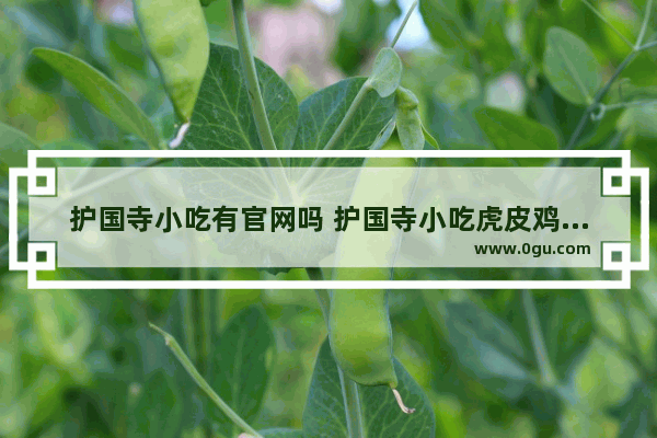护国寺小吃有官网吗 护国寺小吃虎皮鸡爪加盟
