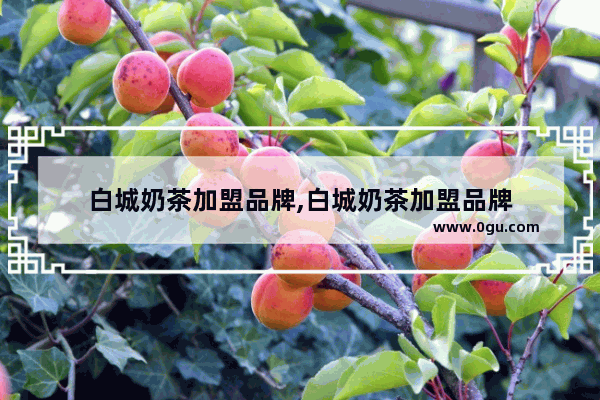 白城奶茶加盟品牌,白城奶茶加盟品牌