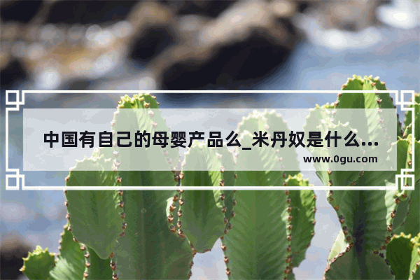 中国有自己的母婴产品么_米丹奴是什么档次