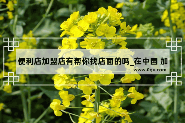便利店加盟店有帮你找店面的吗_在中国 加盟哪家便利店好