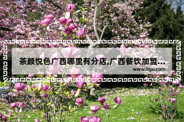 茶颜悦色广西哪里有分店,广西餐饮加盟店推荐